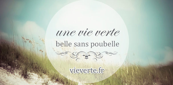 une vie verte sans poubelle